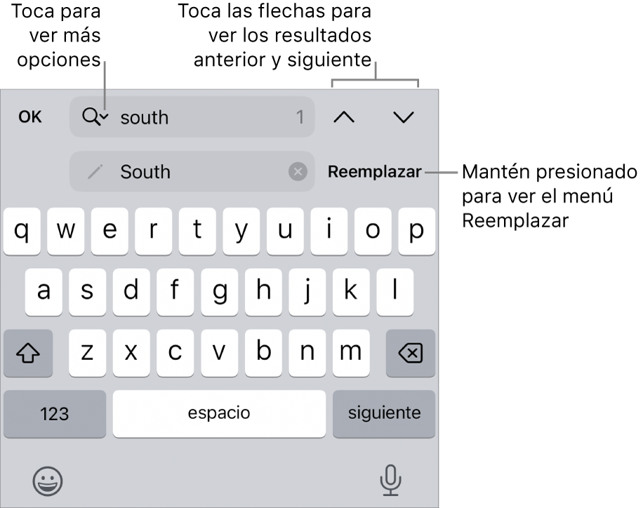 Los controles Buscar y Reemplazar arriba del teclado con mensajes en los botones Opciones de Búsqueda, Reemplazar, Subir y Bajar.