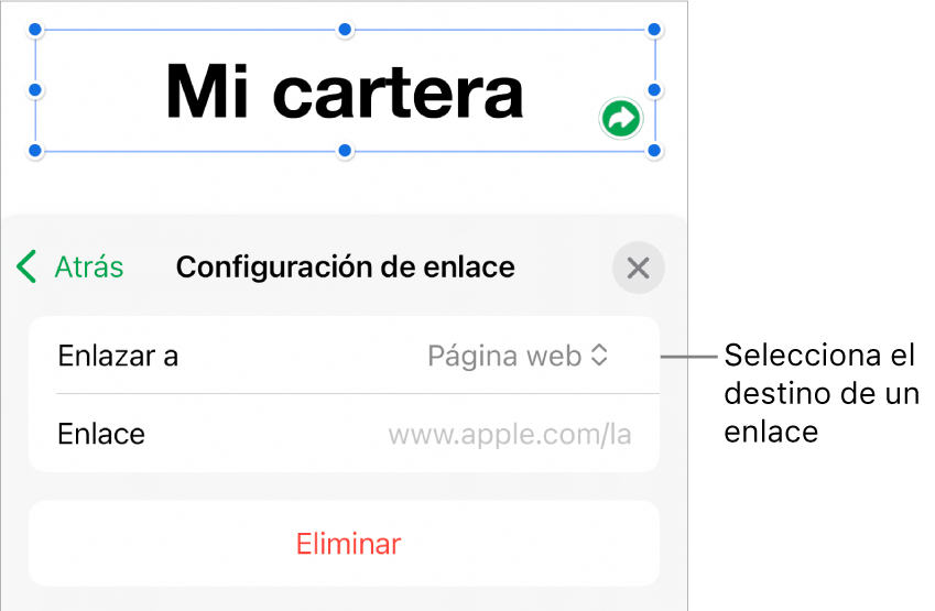 Los controles de Configuración de enlace con la opción Página web seleccionada, y el botón Eliminar en la parte de abajo.