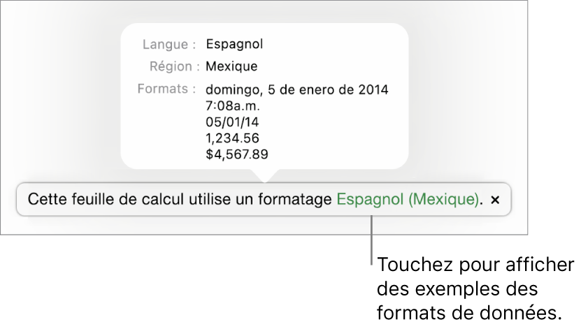 La notification du réglage de langue et de région différent affichant des exemples de la mise en forme correspondant à cette langue et à cette région.