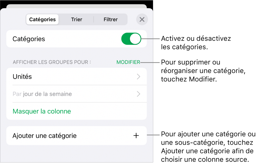 Le menu catégories pour iPhone, avec des options permettant de désactiver les catégories, supprimer des catégories, regrouper des données, masquer une colonne source et ajouter des catégories.