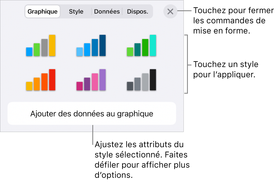 Onglet Graphiques du menu Format.