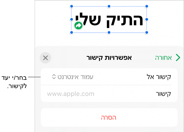 כלי הבקרה של ״אפשרויות קישור״ כאשר האפשרות ״עמוד אינטרנט״ נבחרת ובחלק התחתון מוצג הכפתור ״הסר״.