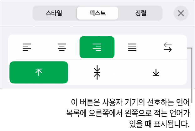 오른쪽에서 왼쪽으로 버튼에 설명이 있는 포맷 메뉴의 스타일 섹션.