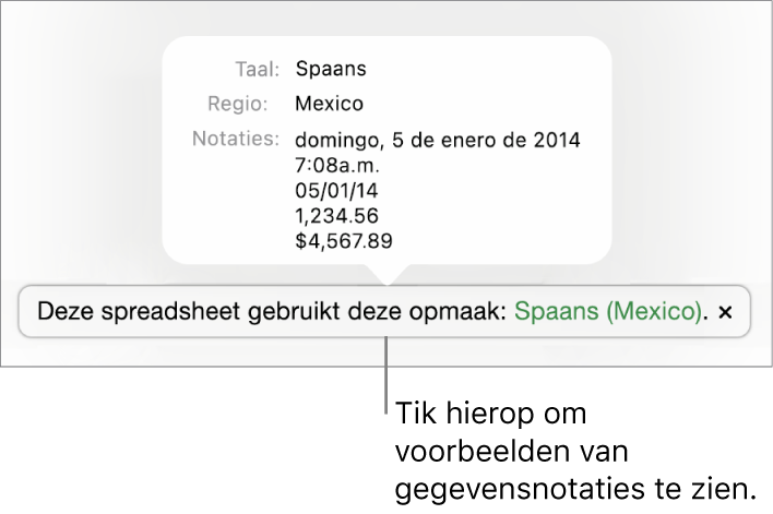 De melding van de afwijkende taal en regio, met voorbeelden van de opmaak in die taal en voor die regio.