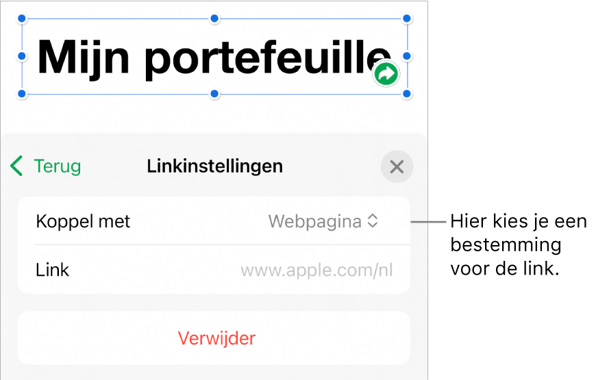 De regelaars voor linkinstellingen. 'Webpagina' is geselecteerd en onderaan staat de knop 'Verwijder'.