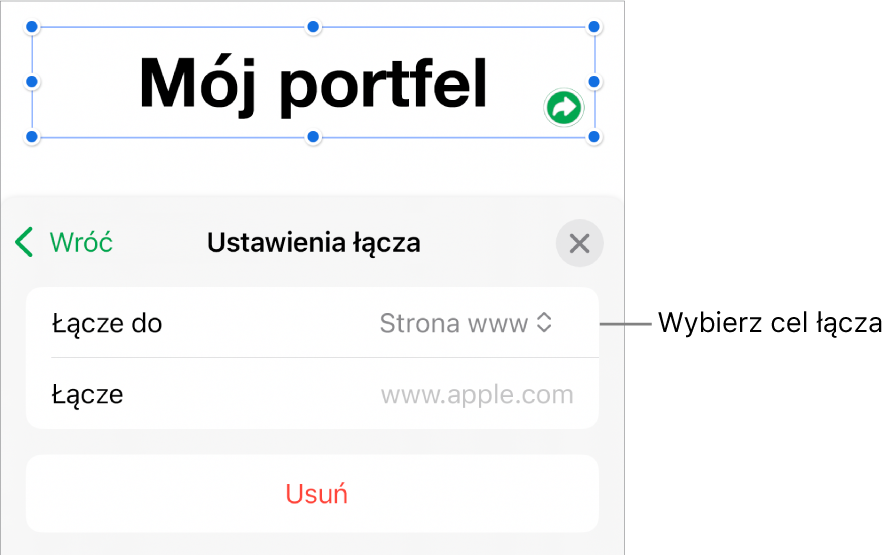 Narzędzia Ustawienia łącza; wybrane jest narzędzie Strona www; na dole znajduje się przycisk Usuń.