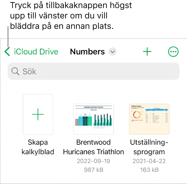 Kalkylbladshanteraren för iPhone.