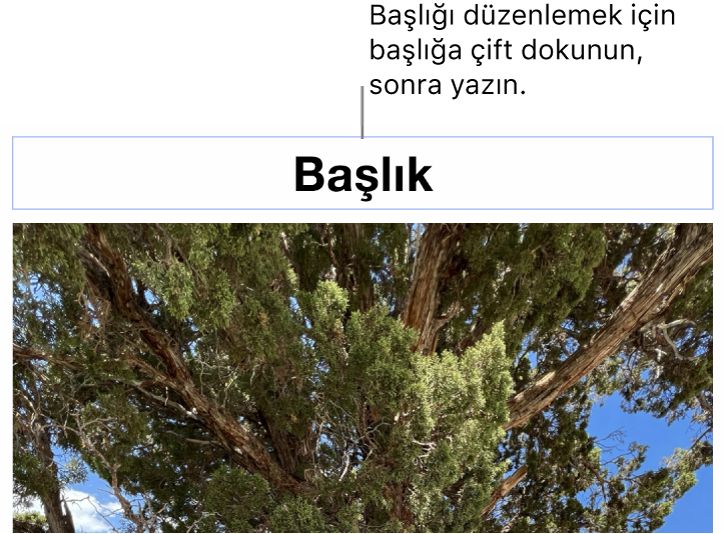 Yer tutucu başlık (“Başlık”) bir fotoğrafın altında görünür, başlık alanının çevresindeki mavi kontur resim yazısının seçildiğini gösterir.