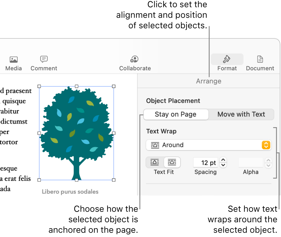 The Format menu with the Arrange sidebar displayed. The Object Placement settings are at the top of the Arrange sidebar, with the Text Wrap settings below.