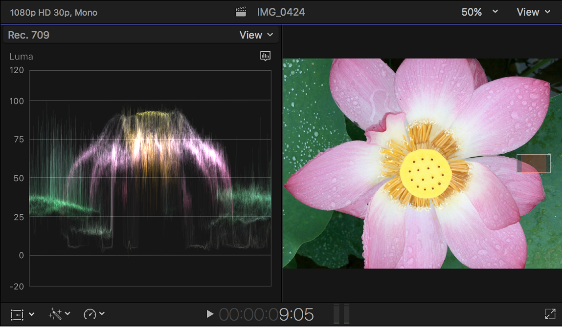 The Luma waveform monitor shown to the left of the viewer