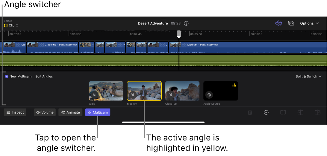 The angle switcher open in the timeline, with thumbnails for four angles.