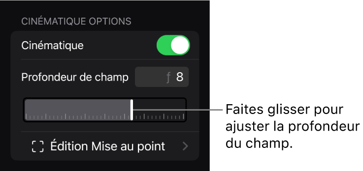 Section « Options cinématiques » de l’inspecteur affichant le curseur « Profondeur de champ ».