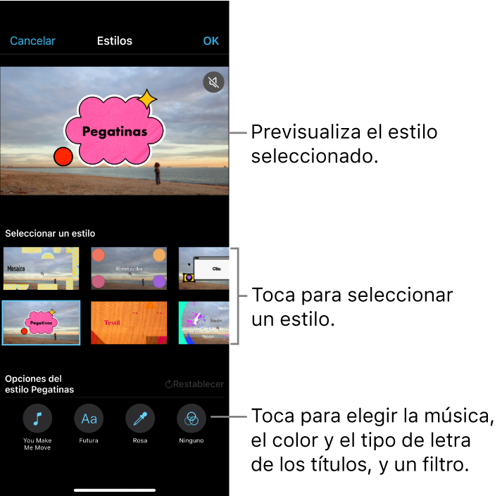 El visor muestra una previsualización de un estilo seleccionado con las opciones de estilo debajo. Los botones para añadir música, seleccionar el color y el tipo de letra de los títulos, y aplicar filtros aparecen en la parte inferior de la pantalla.
