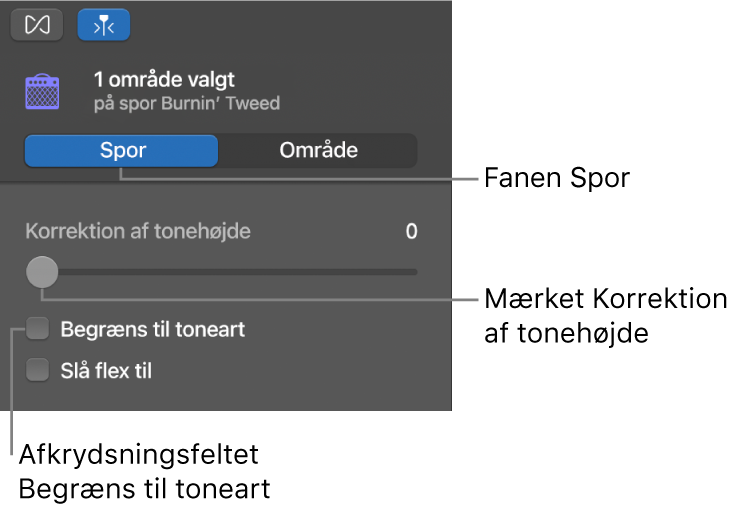 Info om lydværktøj i sporfunktion med mærket Korrektion af tonehøjde og afkrydsningsfeltet Begræns til toneart.