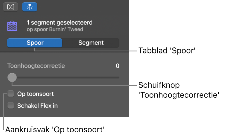 Infovenster van de audio-editor in de spoormodus, met de schuifknop 'Toonhoogtecorrectie' en het aankruisvak 'Op toonsoort'.