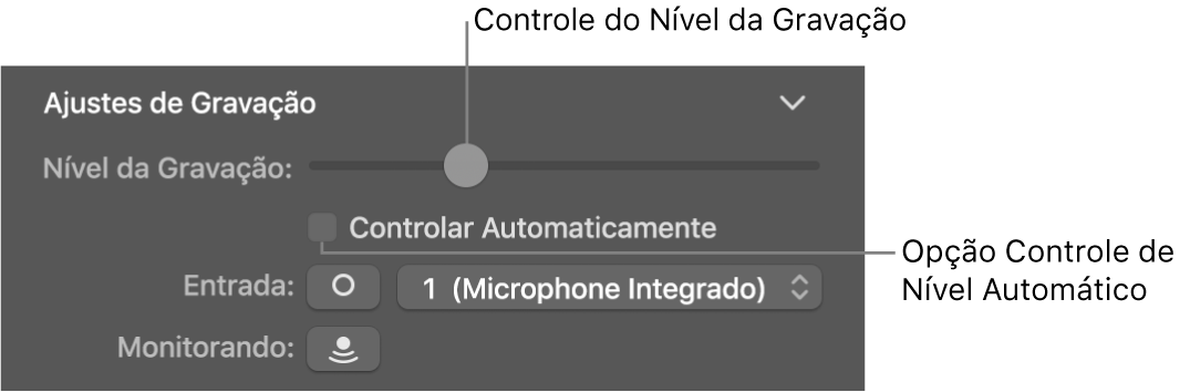 Controle do Nível da Gravação e opção Controlar Automaticamente no inspetor Smart Controls.