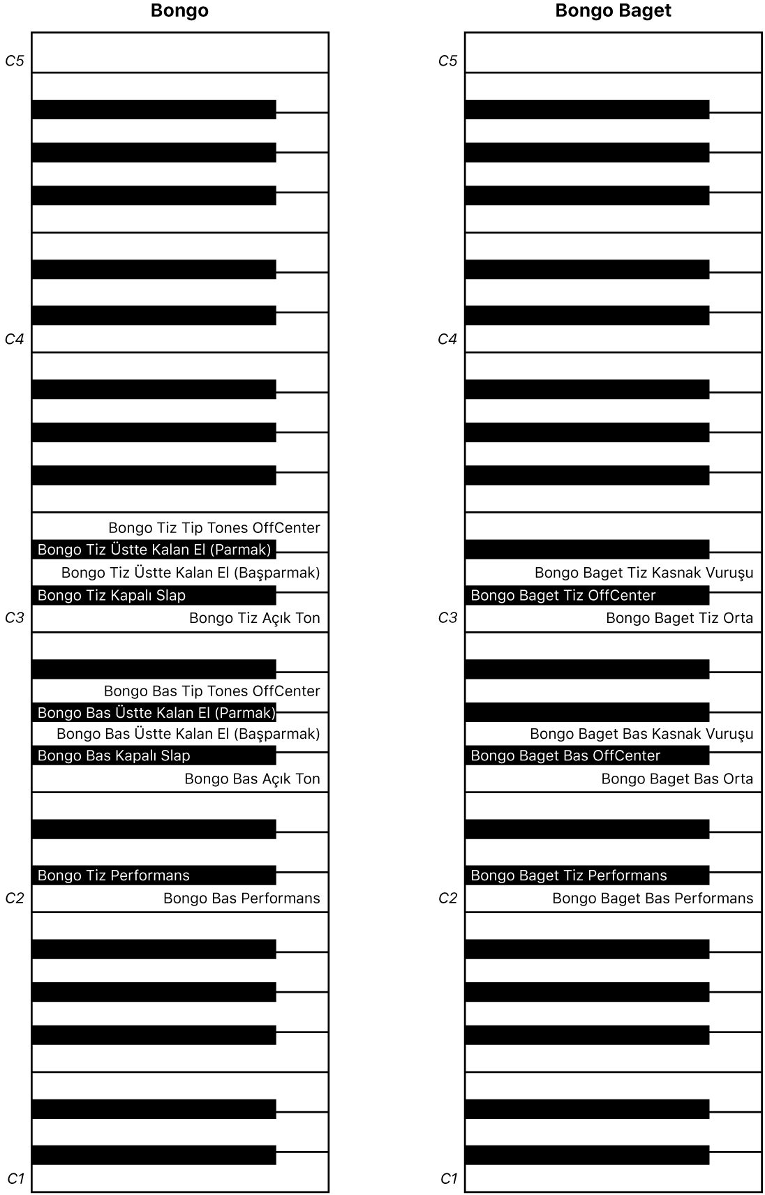 Şekil. Bongos ve Bongos Stick performans klavyesi haritası.