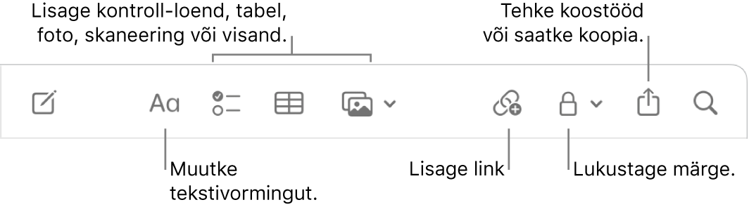 Tööriistariba Notes väljaviikudega tekstivormingu, ülesandeloendi, tabeli, lingi, fotode/meedia, lukustamise, jagamise ning kopeerimise tööriistadele.