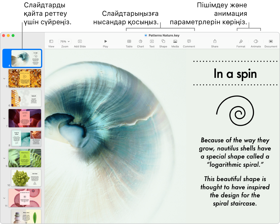 Сол жағында слайд шарлағышын және слайдтарды қайта реттеу жолын, жоғарғы жағында құралдар тақтасы мен оның өңдеу құралдарын, жоғарғы оң жаққа жақын Collaborate түймесін және оң жақта Format және Animate түймелерін көрсетіп тұрған Keynote терезесі.