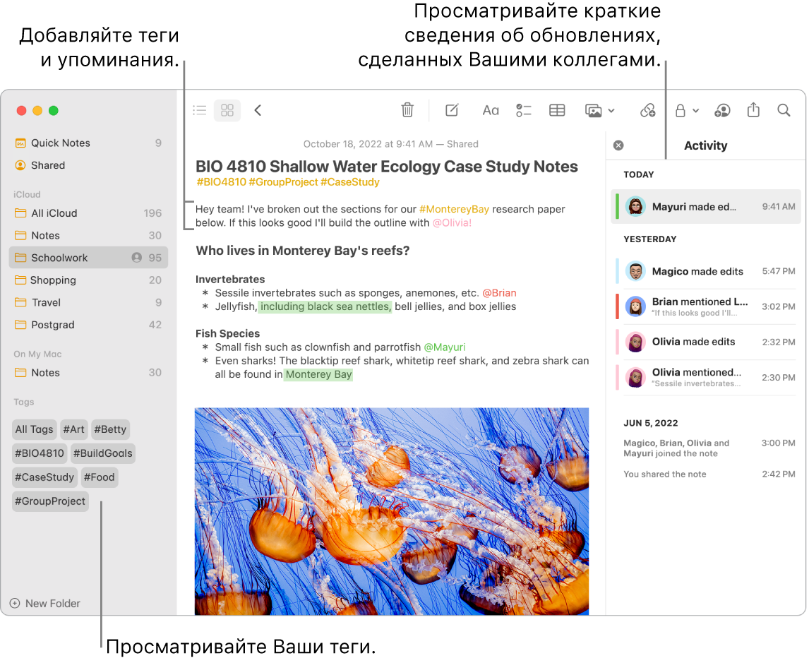 Окно приложения «Заметки». В нем открыта галерея и выноской показаны теги в боковом меню. В тексте заметки выноской показаны тег и упоминание. Справа — панель «Активность», в ней выноской показана краткая информация об изменениях, внесенных в заметку.