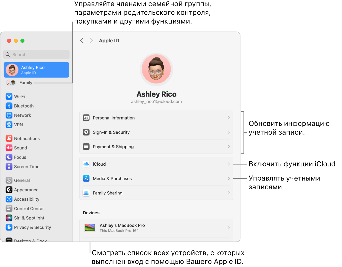 Настройки Apple ID в Системных настройках. Сносками показаны параметры обновления сведений учетной записи, включения или выключения функций iCloud и управления настройками учетных записей для мультимедиа. В настройках Семейного доступа показаны параметры управления устройствами членов семьи, родительским контролем, покупками и многим другим.