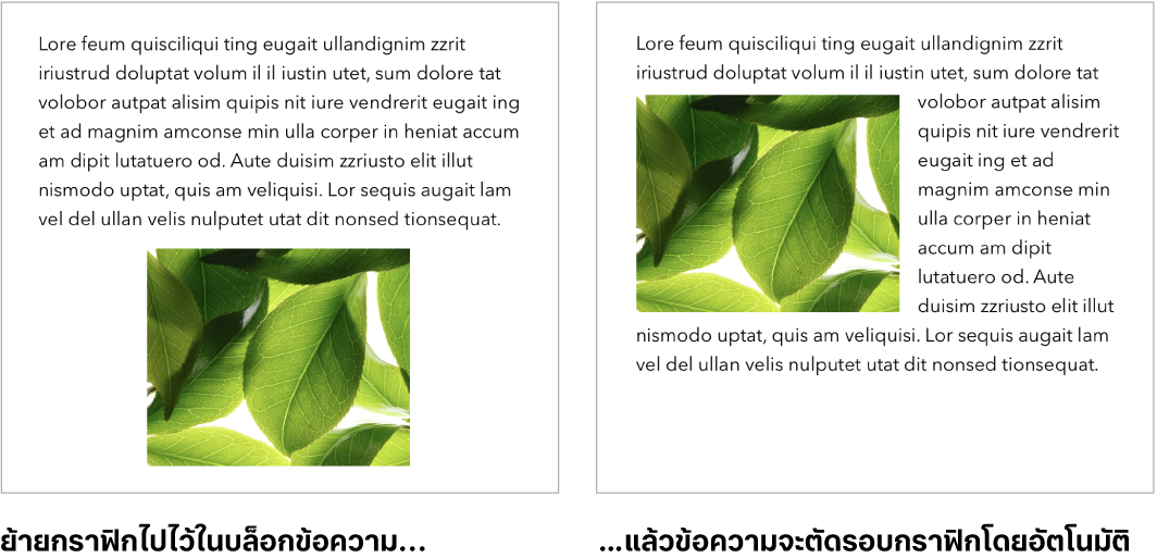 หน้าต่าง Pages ที่แสดงวิธีที่ข้อความจัดเรียงอยู่รอบๆ กราฟิก