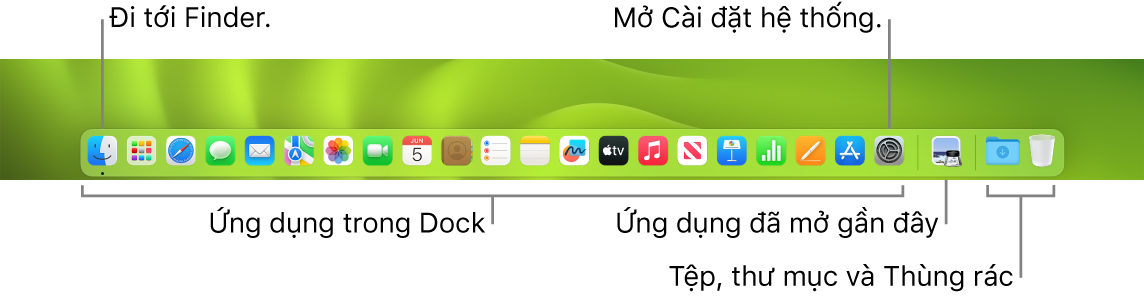 Dock, đang hiển thị Finder, Cài đặt hệ thống và thanh chia trên Dock phân tách các ứng dụng khỏi các tệp và thư mục.