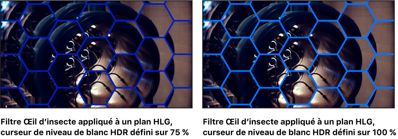 Le canevas montrant les effets des ajustements du curseur « Niveau de blanc HDR » sur le filtre « Œil d’insecte ».