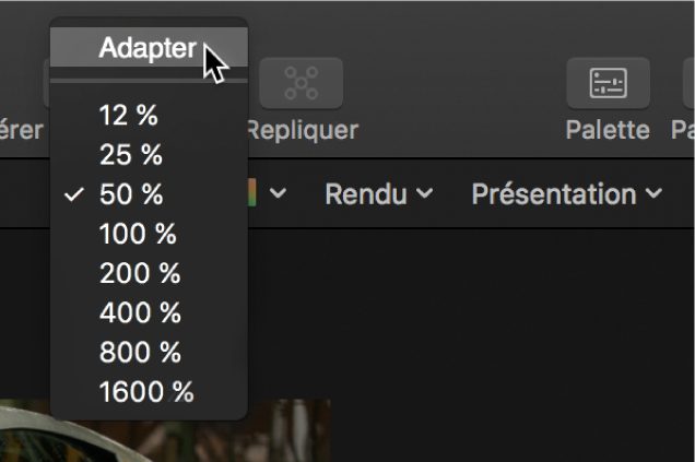 Sélection de l’option Adapter dans le menu local Niveau de zoom du canevas