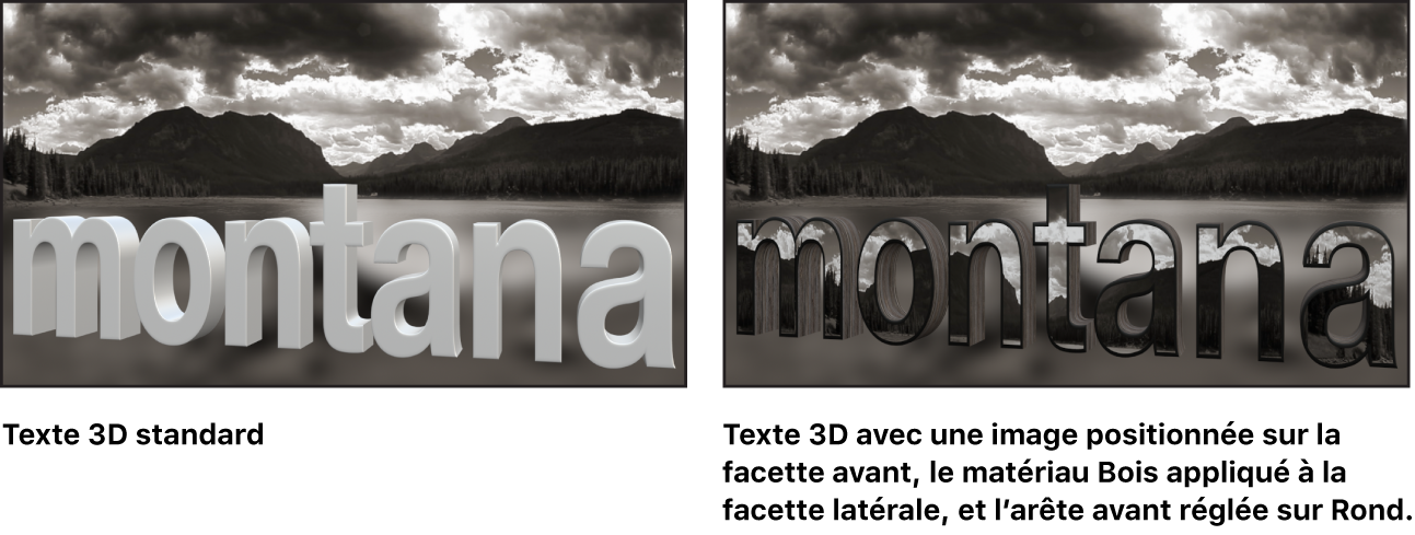 Canevas affichant un texte 3D de base et un texte 3D avec une image personnalisée positionnée sur la facette avant, la substance Bois appliquée à la facette latérale et l’arête avant réglée sur Rond