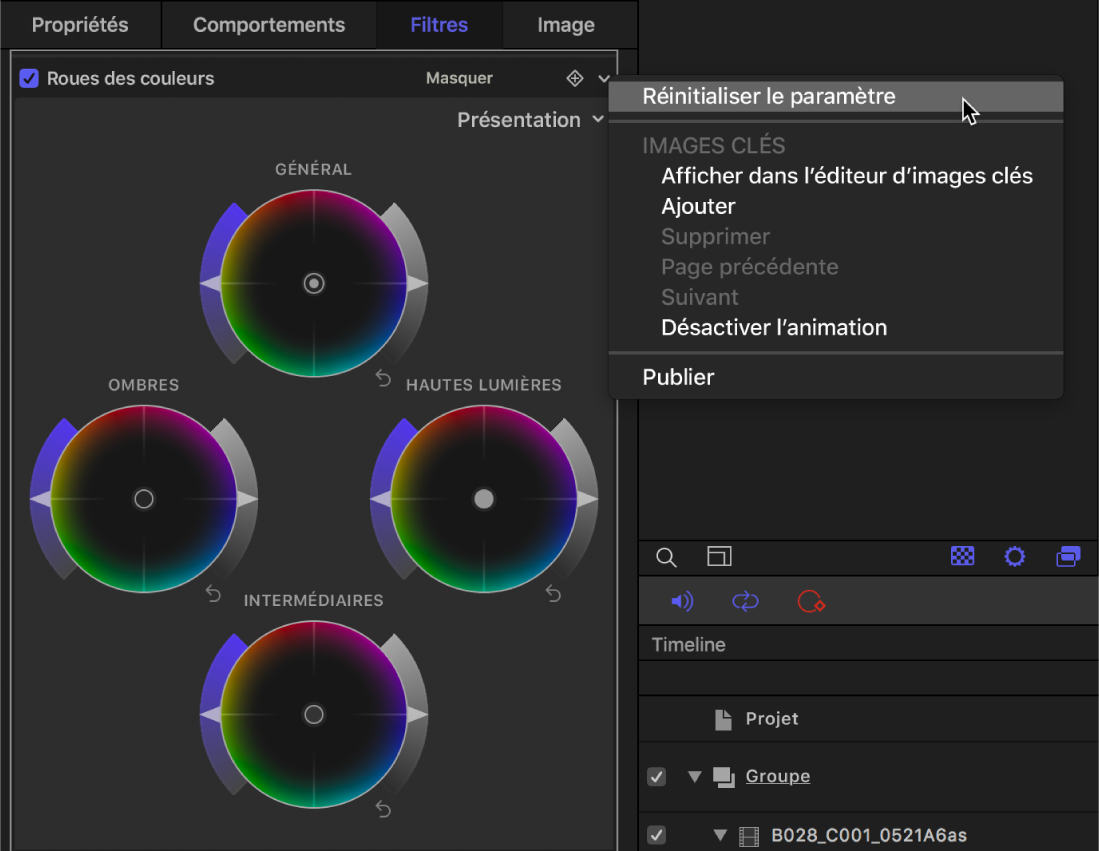 Commandes des roues des couleurs dans l’inspecteur de filtres affichant le menu local Animation