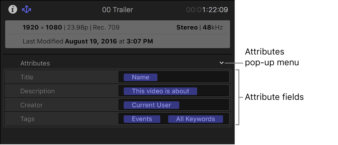 The Share inspector showing attribute fields for a selected project or clip