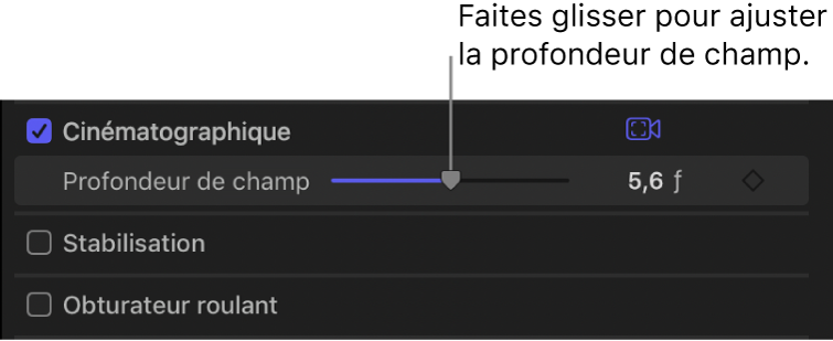 Section Cinématique de l’inspecteur vidéo affichant le curseur Profondeur de champ