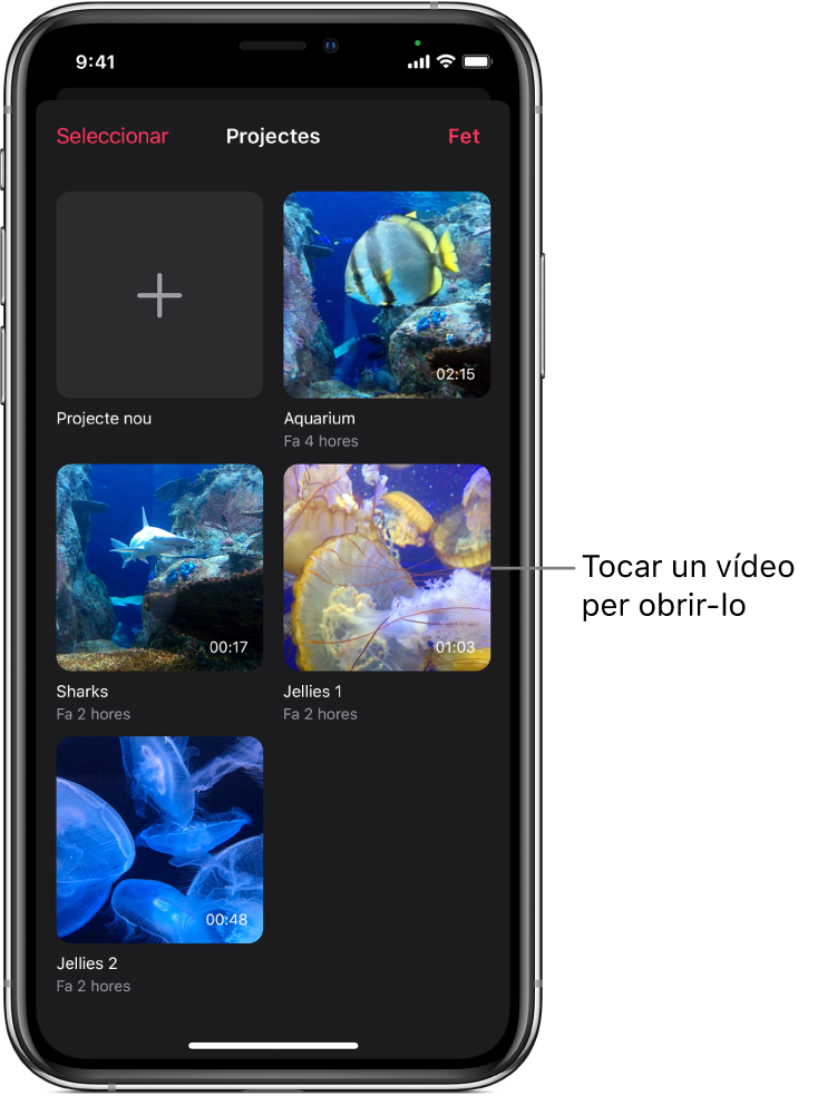 Pantalla de projectes en què es mostren el botó per crear un projecte nou i les miniatures dels vídeos existents.