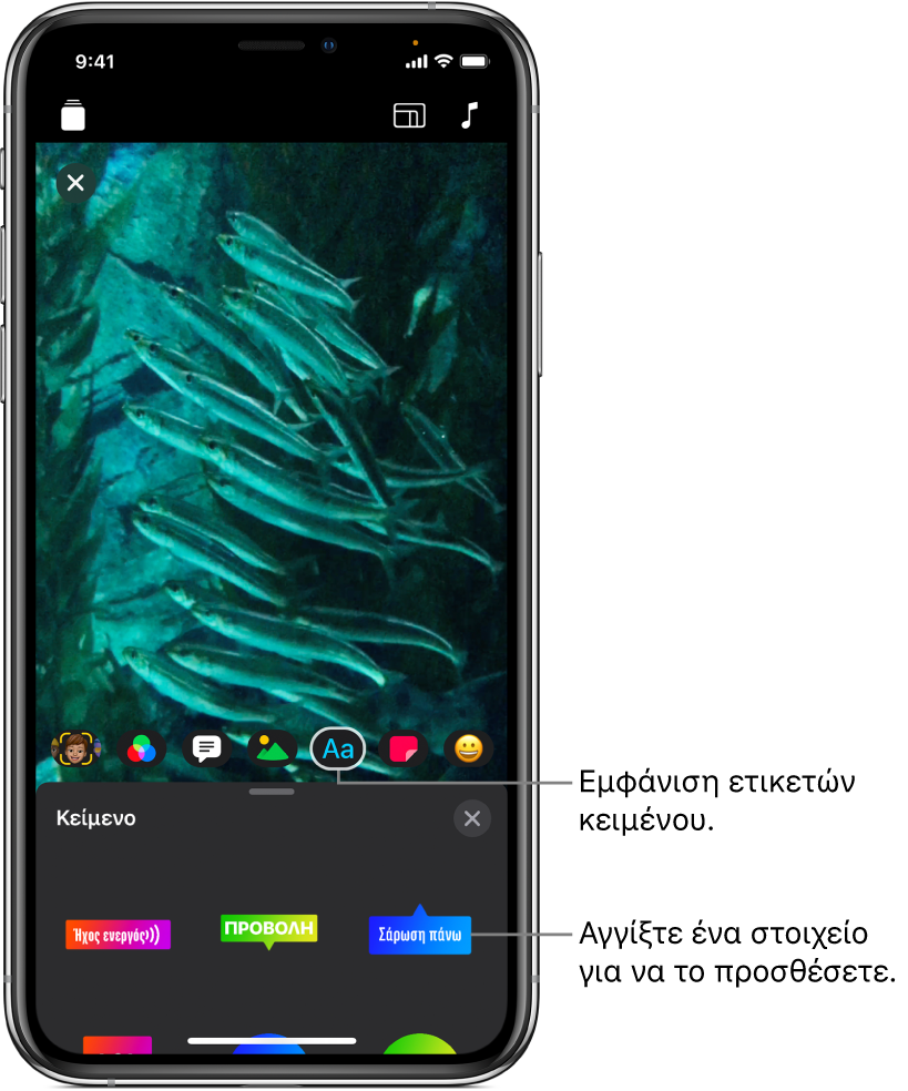 Μια εικόνα βίντεο στο πρόγραμμα προβολής, με επιλεγμένο το κουμπί Κείμενο και επιλογές ετικετών κειμένου που φαίνονται από κάτω.