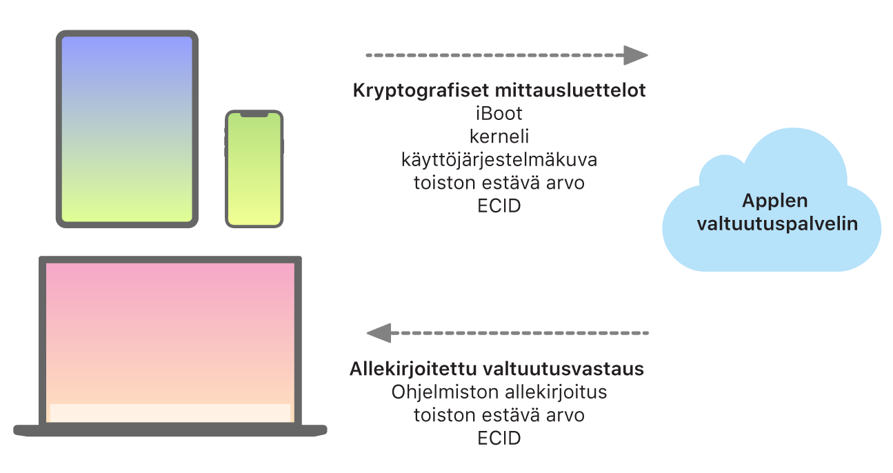 Kaavio, jossa näkyy, miten Apple-laitteet lähettävät tietoa Applen valtuutuspalvelimelle, joka vuorostaan lähettää vastauksen.