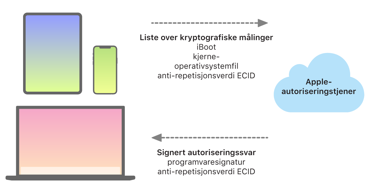 Et diagram som viser hvordan Apple-enheter sender informasjon til Apple-autoriseringstjener, som deretter sender tilbake et svar.