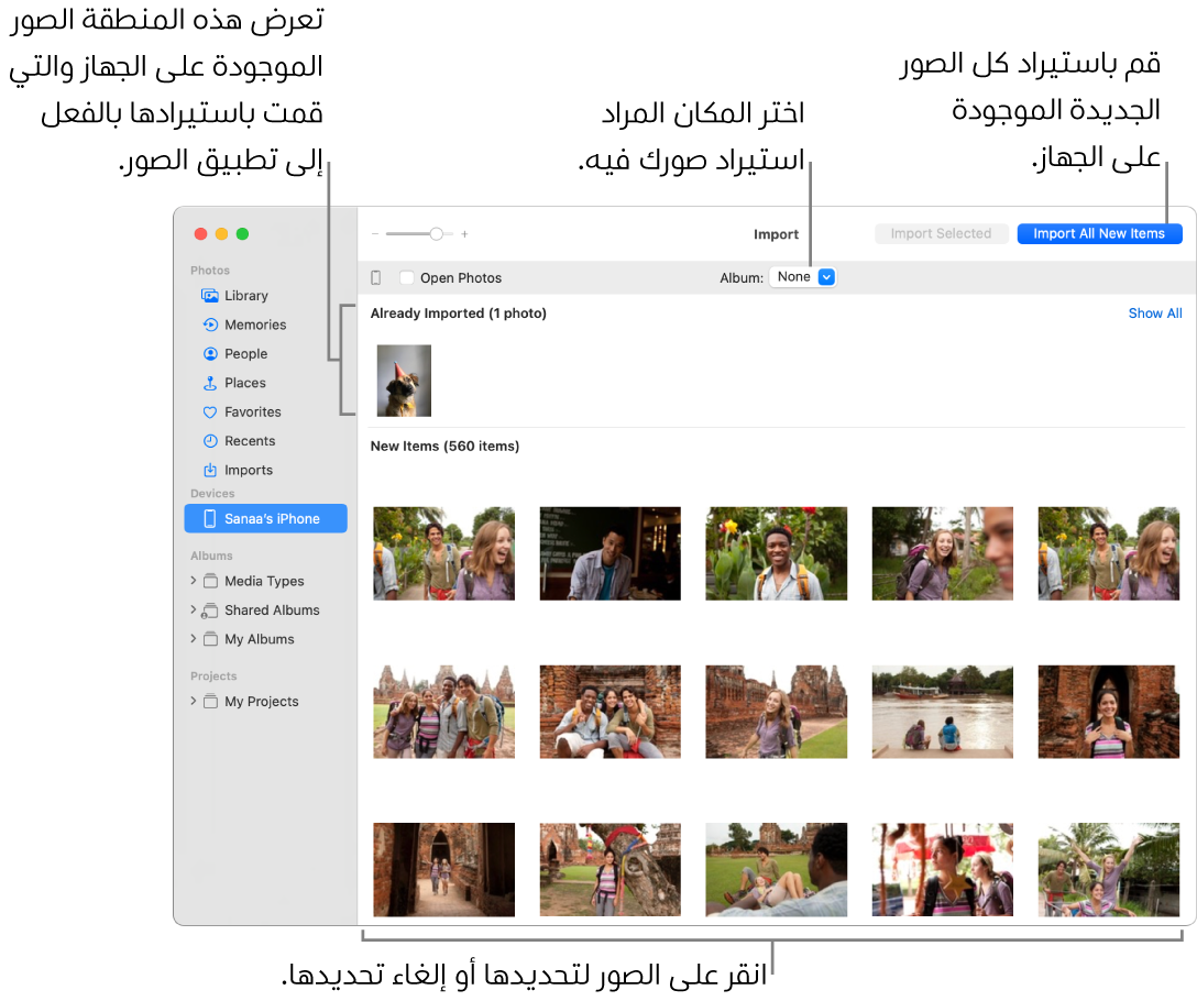 الصور التي قمت باستيرادها من الجهاز بالفعل تظهر في الجزء العلوي من نافذة الاستيراد؛ والصور الجديدة في الجزء السفلي. في منتصف الجزء العلوي تظهر القائمة المنبثقة "ألبوم". يظهر زر استيراد كل العناصر الجديدة في أعلى اليسار.