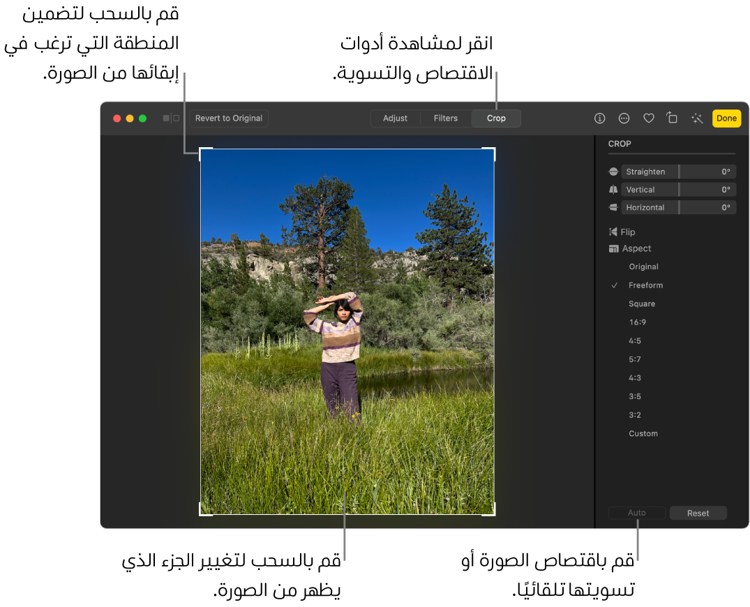 صورة في عرض التحرير، مع تحديد "اقتصاص" في شريط الأدوات، ووجود مستطيل تحديد حول الصورة وشرائح التمرير للتسوية وخيارات نسبة العرض إلى الارتفاع وأزرار تلقائي وإعادة التعيين على اليسار.