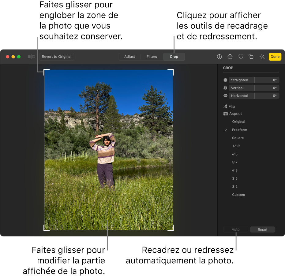 Une photo en mode édition, avec l’option Recadrer sélectionnée dans la barre d’outils, un rectangle de sélection autour de la photo, de même que des curseurs de redressement, des options de mise à l’échelle et les boutons Auto. et Réinitialiser à droite.