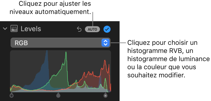 Les commandes Niveaux dans la sous-fenêtre Ajuster, avec le bouton Auto en haut à droite et l’histogramme RVB en dessous.