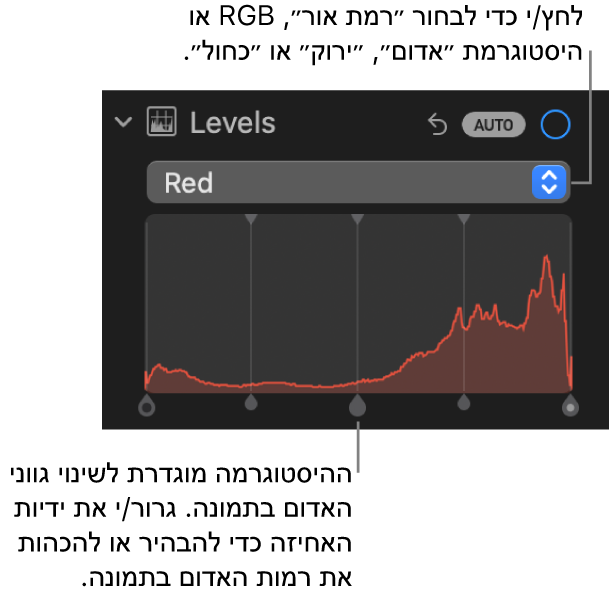 כלי בקרה ״רמות״ בחלונית ״התאם״ המציגה את היסטוגרמת האדום עם ידיות מתחתיה, לתיקון רמות האדום בתמונה.