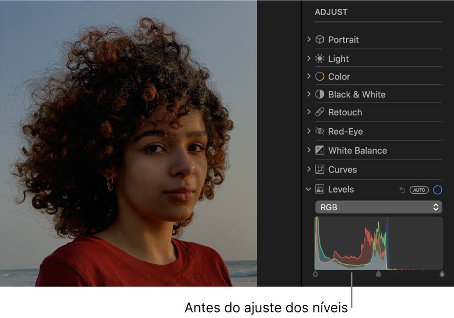 Uma foto antes dos ajustes de níveis.