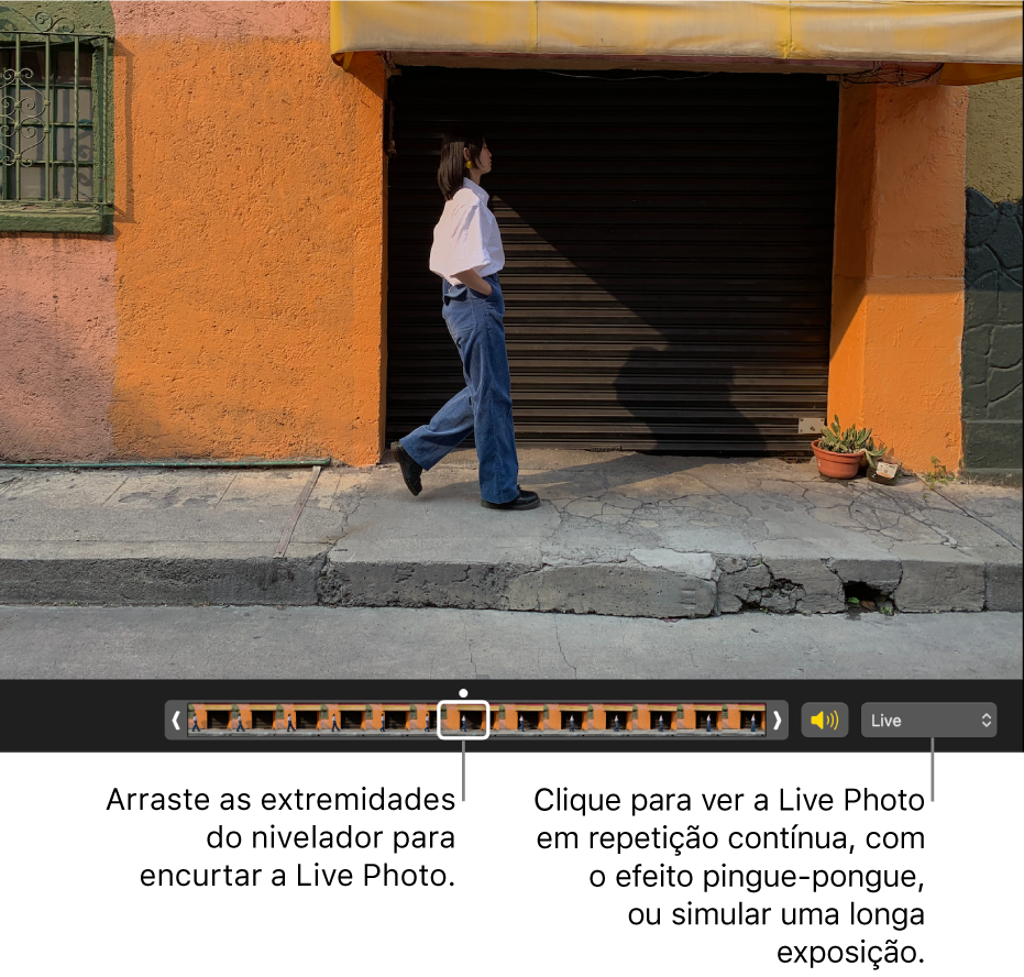 Uma Live Photo na vista de edição e, por baixo, um nivelador que mostra os fotogramas da fotografia. À direita do nivelador estão o botão de altifalante e um menu pop-up que pode usar para adicionar um efeito de repetição contínua, pingue-pongue ou longa exposição.