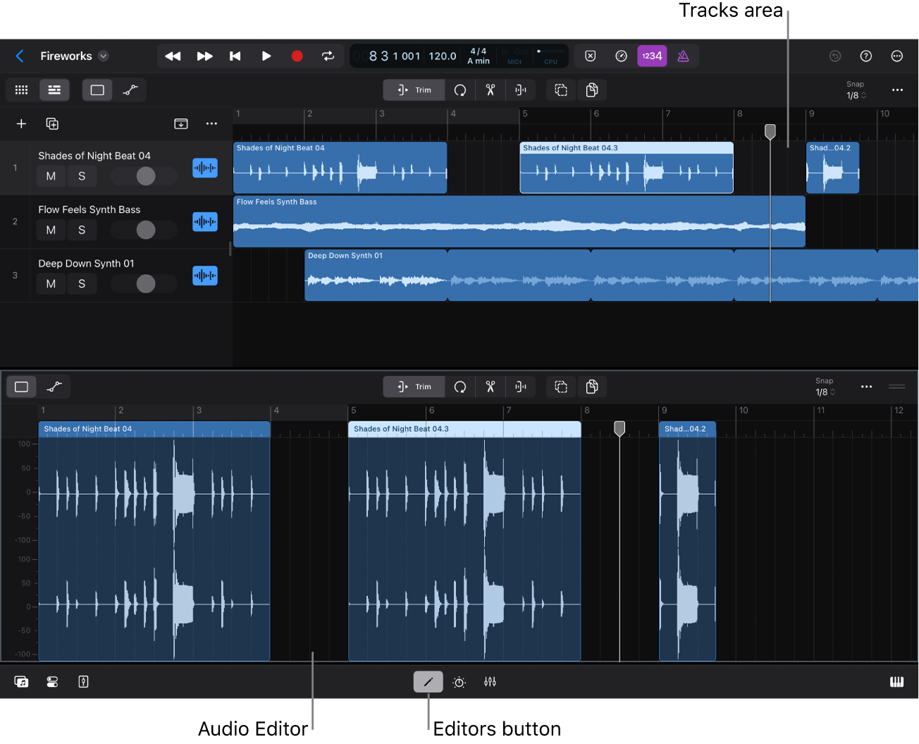 Figure. Audio Editor.