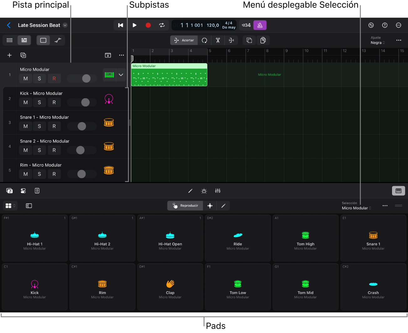 Un Track Stack expandido y la superficie de interpretación de Drum Machine Designer.