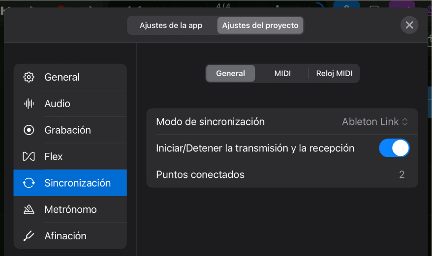Pestaña General de la página de ajustes del proyecto Sincronización.