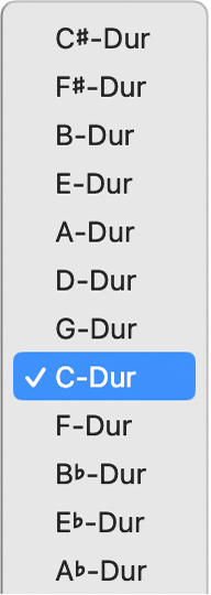 Abbildung. Einblendmenü „Tonart“ in der LCD