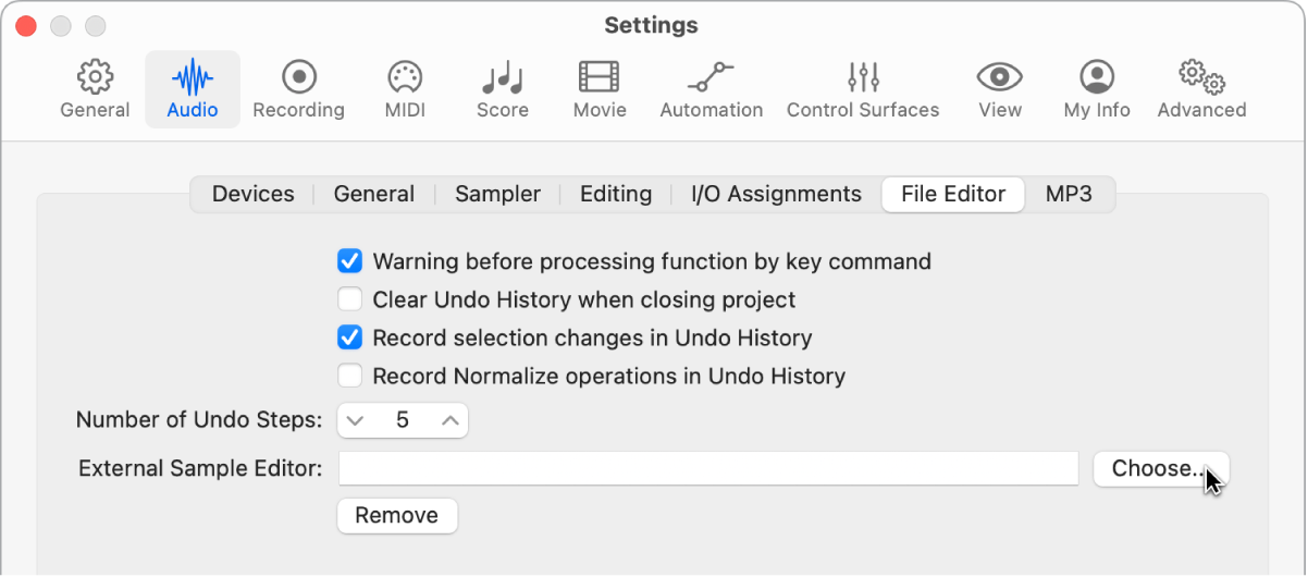 Figure. File Editor pane in the Audio settings.