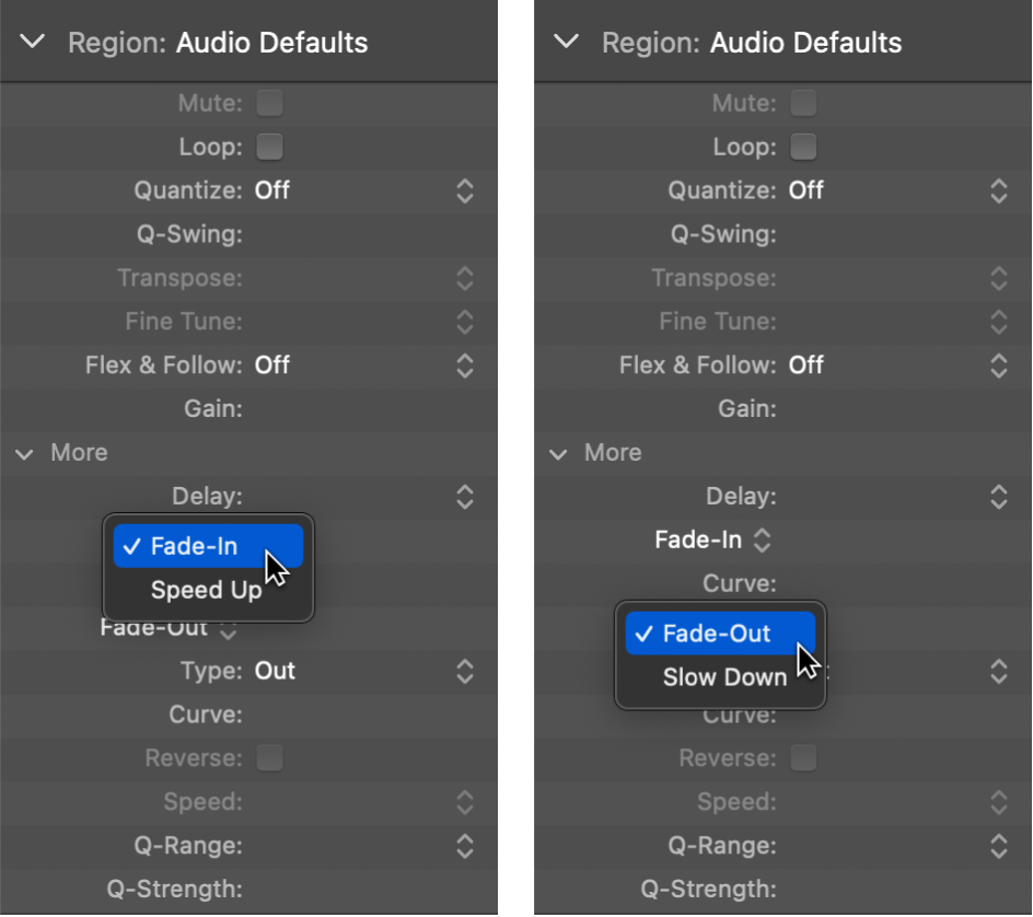 Figure. Speed Up and Slow Down parameters in the Region inspector.